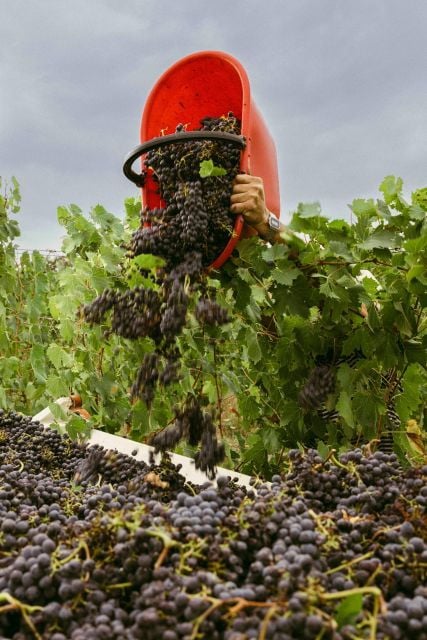 San Gregorio Tasting - Directions