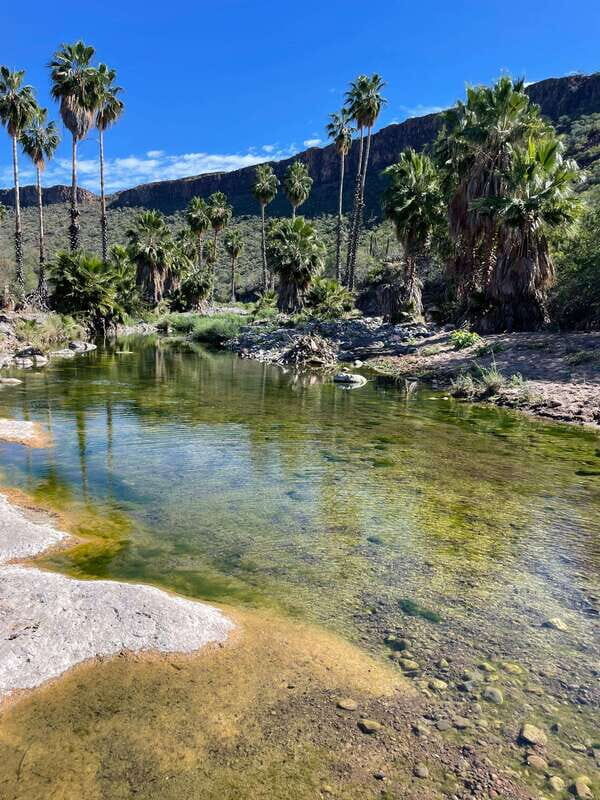 SAN JAVIER MISSION TOUR - What Past Visitors Say