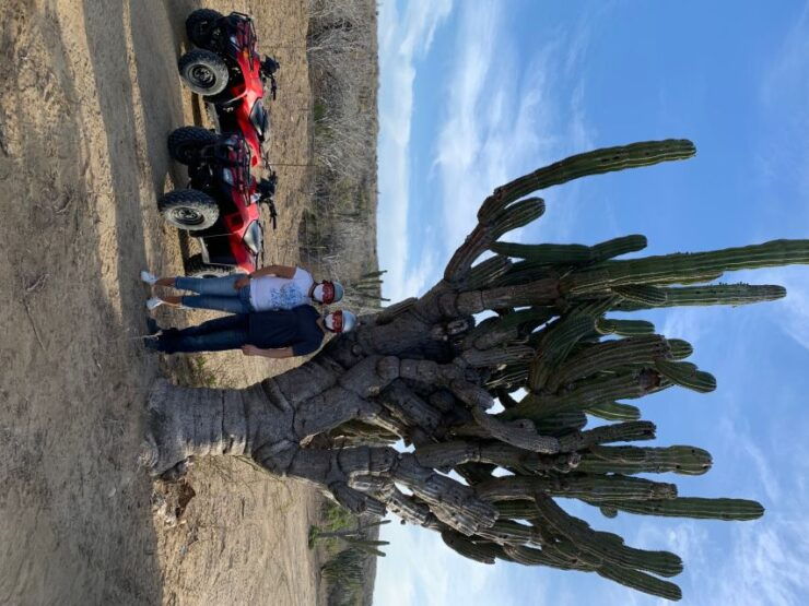 San José Del Cabo: 2-Hour ATV Tour - Tour Booking Information
