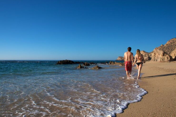San Jose Del Cabo: City Tour & Palmilla Beach Visit - Experience Highlights