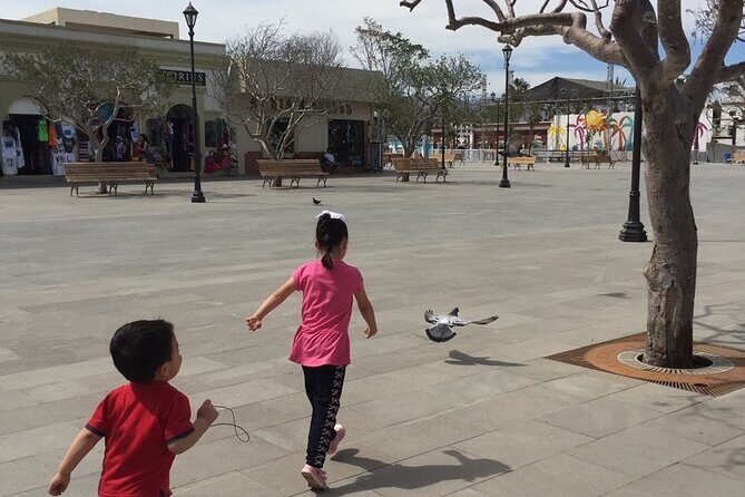 San Jose del Cabo Historic District Walking Tour - What’s Included and What’s Not