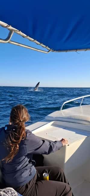 San José del Cabo: Ocean Safari - Who This Tour Is Best For