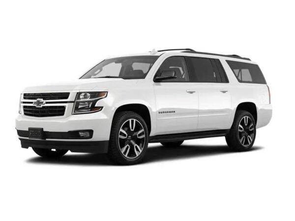 San Jose Del Cabo: Premium Airport Transfer - Reliable Transfers