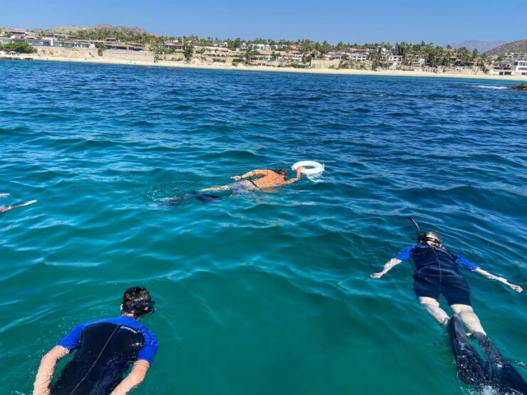 San José Del Cabo: Private Snorkeling With Open Bar and Food - Experience Highlights