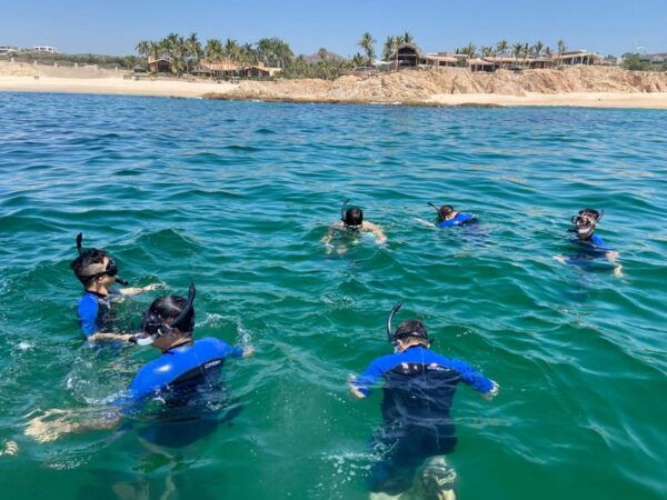 San José Del Cabo: Private Snorkeling With Open Bar and Food - Frequently Asked Questions