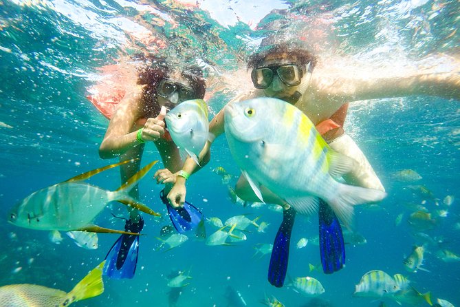 San Jose Del Cabo Small-Group Pelican Rock Snorkel Tour - Common Questions