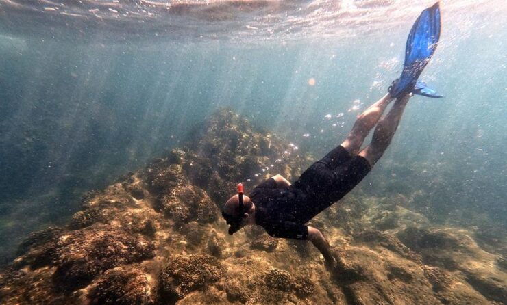 San Jose Del Cabo Snorkeling Tour - Snorkeling Tour Highlights