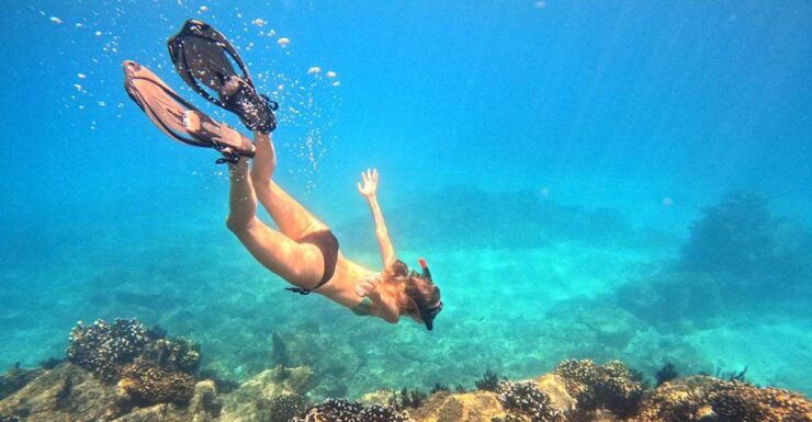 San Jose Del Cabo Snorkeling Tour - Exclusive Snorkeling Locations