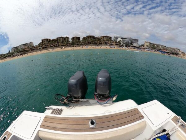 San Jose Del Cabo: Snorkeling Tour With Food and Drinks, - Wildlife and Scenic Views