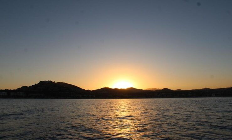 San Jose Del Cabo Sunset Whale Watching - Highlights of the Activity