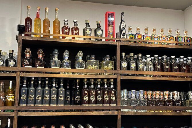 San Jose del Cabo- Tequila, Mezcal & Mixology Class - Good To Know