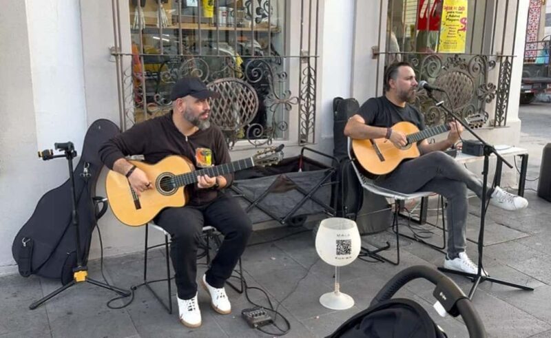 San José del Cabo: Thursday Night Art Walk Tour - Final Thoughts