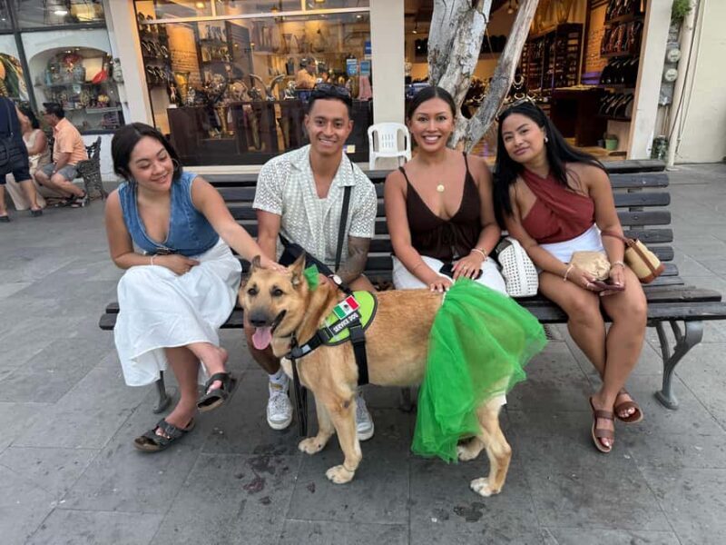 San José del Cabo: Thursday Night Art Walk Tour - Final Summary