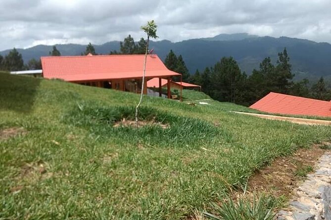San José Del Pacifico: Between Clouds & Mountains - Best Time to Visit San José Del Pacifico