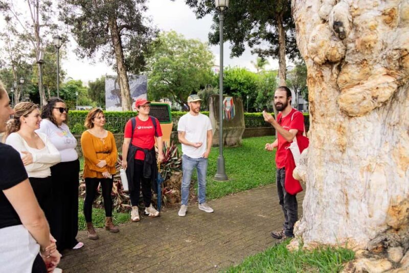 San José: Night Food and Culture Tour with Dinner - The Atmosphere and Social Vibe