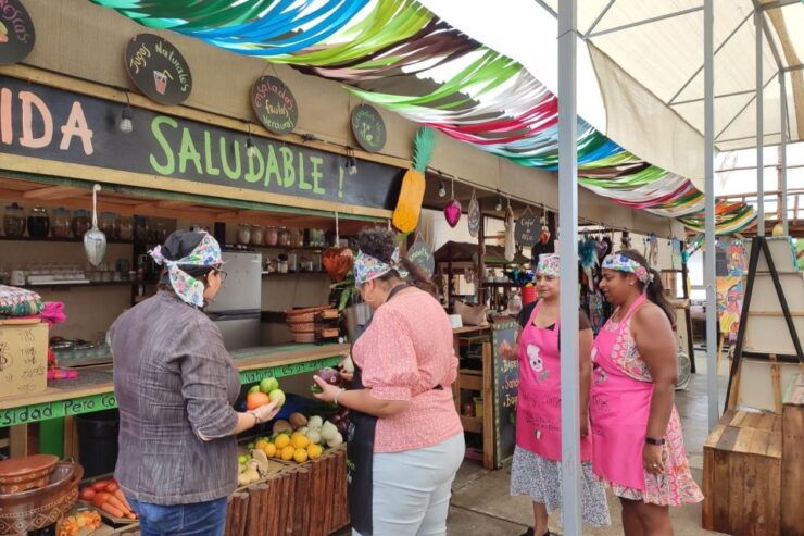 San José Town : Cooking Class,Mexican Empanadas Y Antojitos - Homemade Mezcal and Tequila Tasting