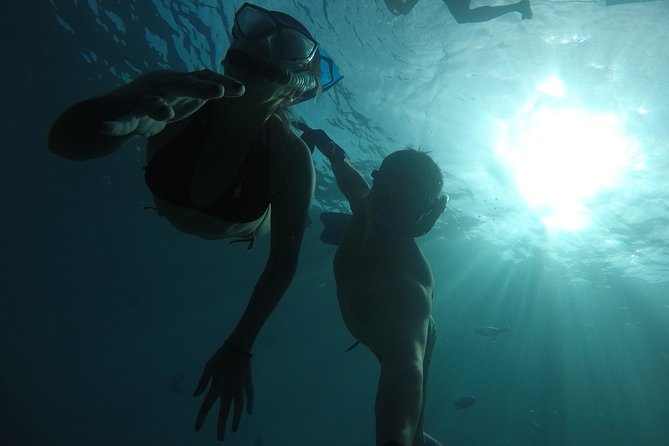 San Jose Wonders - Common Questions