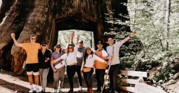 San Jose: Yosemite National Park and Giant Sequoias Trip - Tour Details