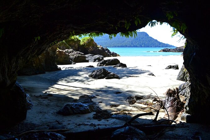 San Josef Bay Tour - Itinerary Overview