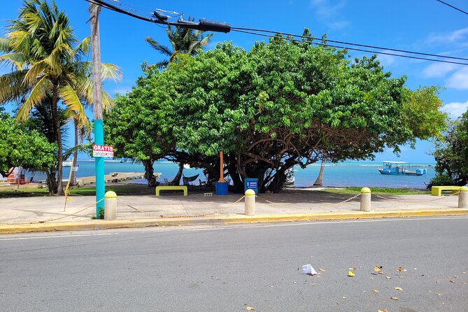 San Juan Airport Transportation to El Conquistador Hotel in Fajardo, PR - Additional Information