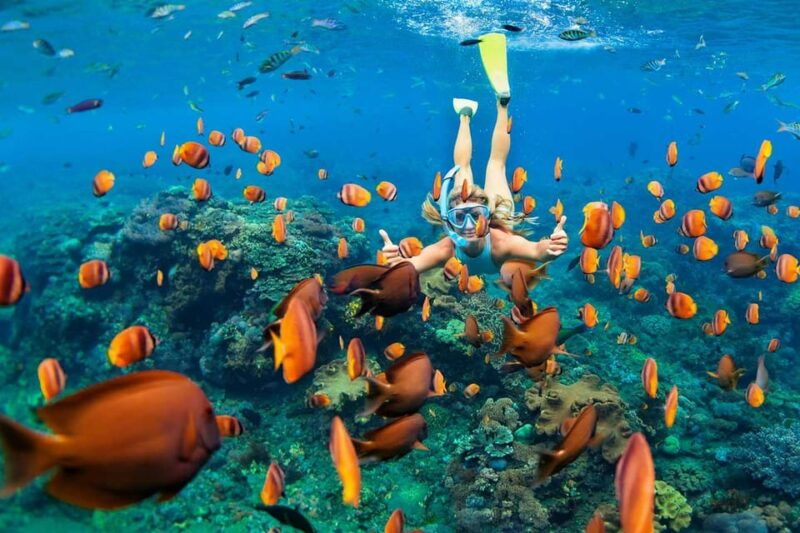 San Juan Beach, Cabo Huertas Alicante: Rental Bike & Snorkel - Booking Details