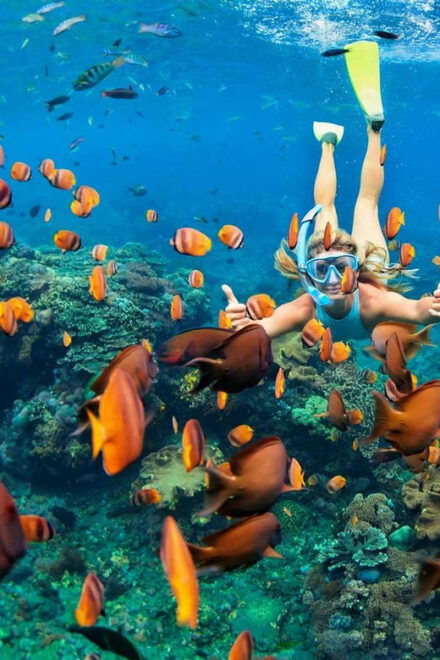 San Juan Beach, Cabo Huertas: Bike Tour & Snorkel With Drink - Participant Restrictions