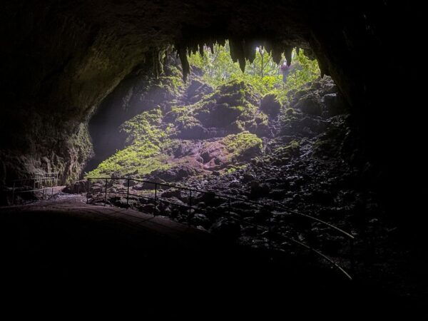 San Juan: Camuy Caves Experience Tour With Pickup & Drop-Off - The Sum Up