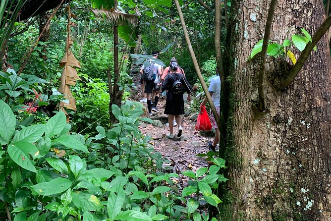 San Juan Full-Day Rain Forest Adventure Tour - Itinerary Overview