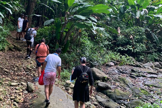 San Juan Full-Day Rain Forest Adventure Tour - Inclusions and Transportation