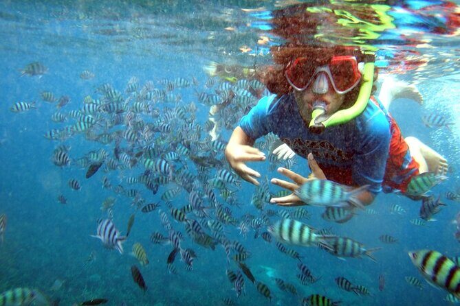 San Juan Guided Snorkeling Experience - With Transport 8am or 3pm - Final Thoughts: Is This Tour Worth It?