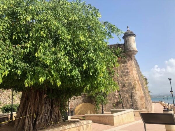 San Juan: History, Legends, & Highlights Guided Walking Tour - Pricing Information