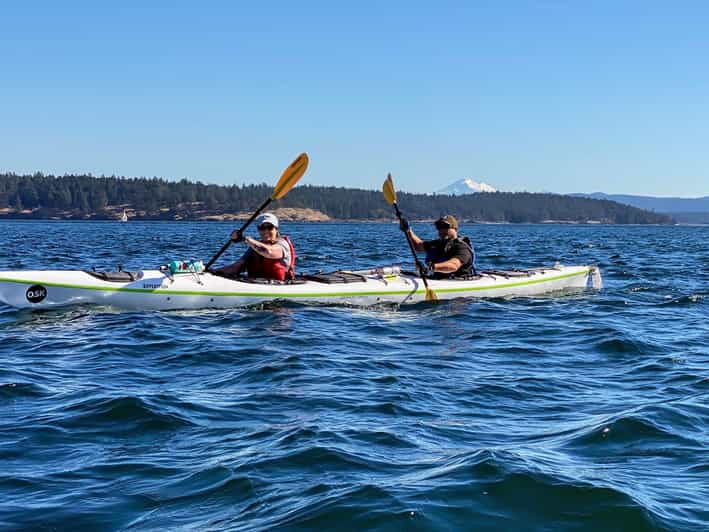 San Juan Island: Full Day Kayaking Tour - Wildlife Experience