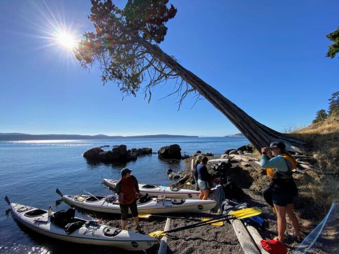 San Juan Island: Full Day Kayaking Tour - Gear and Equipment