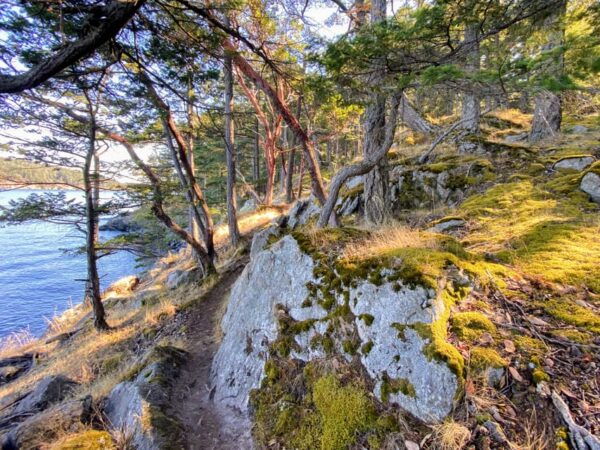 San Juan Island: Full Day Kayaking Tour - Frequently Asked Questions