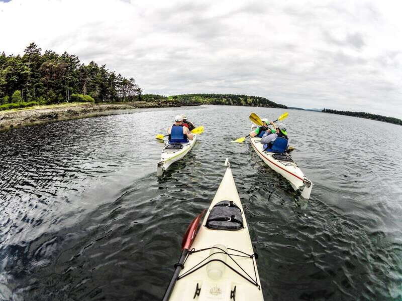 San Juan Island: Full Day Kayaking Tour with Lunch - Who Is This Tour Perfect For?