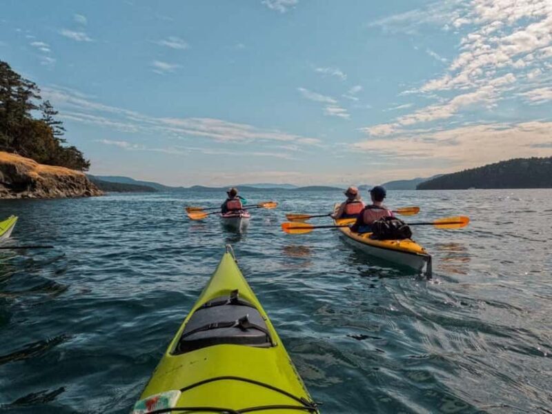 San Juan Island: Half- or Full-Day Lime Kiln Kayak Tour - Exploring the San Juan Islands by Kayak