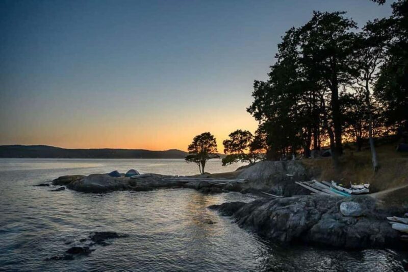 San Juan Island: Half- or Full-Day Lime Kiln Kayak Tour - Why This Tour Offers Great Value