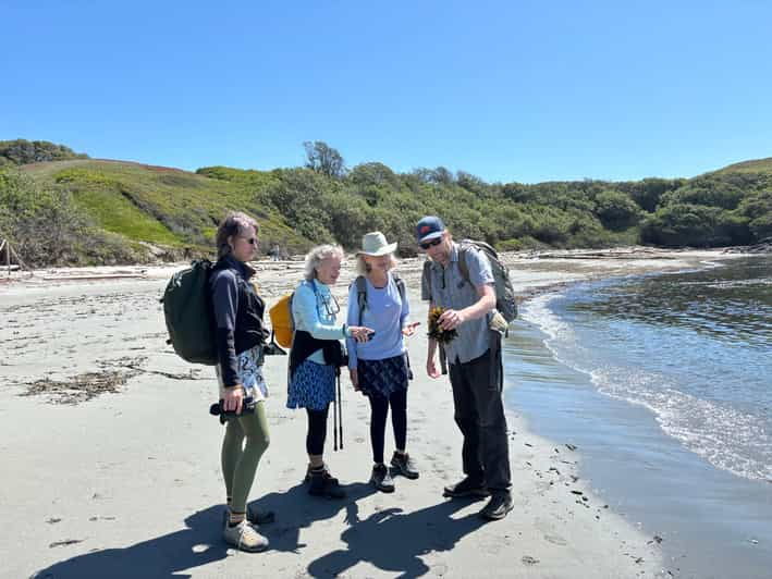 San Juan Island NP: Scenic Coast and Wildlife Hike - Experience Highlights