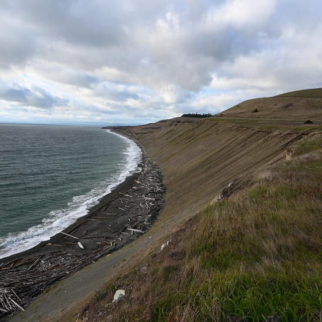 San Juan Island NP: Scenic Coast and Wildlife Hike - Included in the Tour