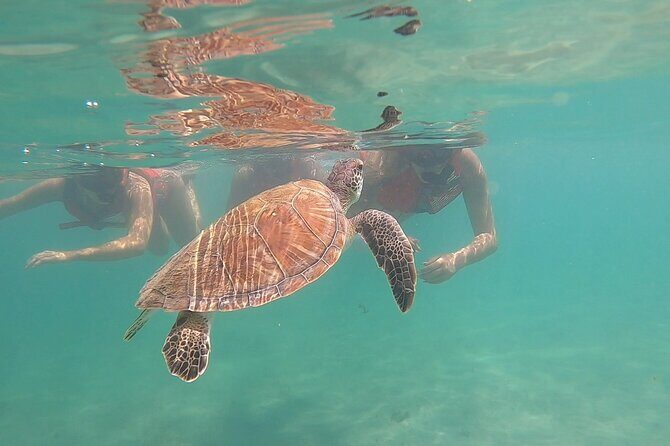 San Juan: Kids and Family Snorkeling Adventure with Videos - Introduction