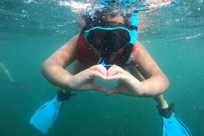 San Juan: Kids and Family Snorkeling Adventure with Videos - The Sum Up