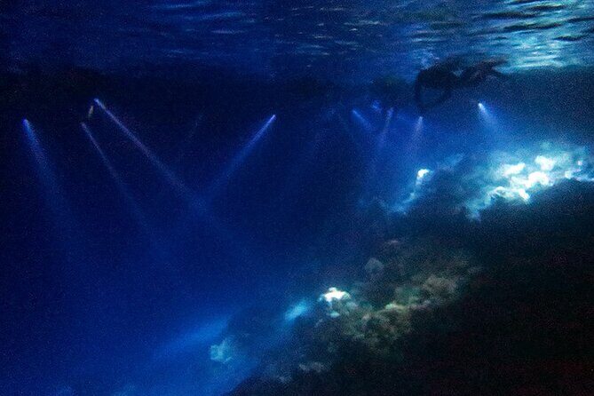 San Juan LED Night Snorkel - Introduction: A Nighttime Marine Wonderland