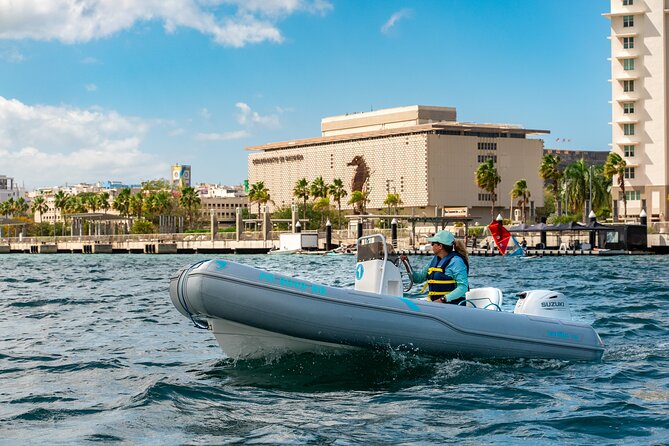 San Juan Mini Boats - Traveler Photos and Reviews