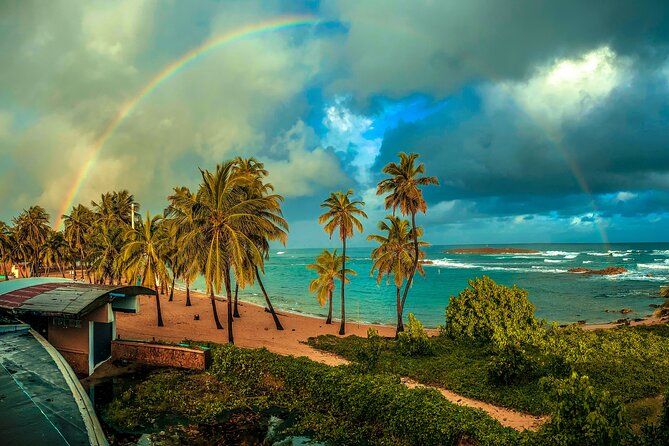 San Juan Small-Group Adult Learn to Snorkel Experience  - Puerto Rico - Reviews and Feedback