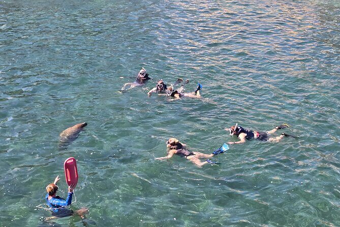 San Juan Snorkel with Turtles and Manatee's; Free Video and Rum! - Practical Details and What to Keep in Mind