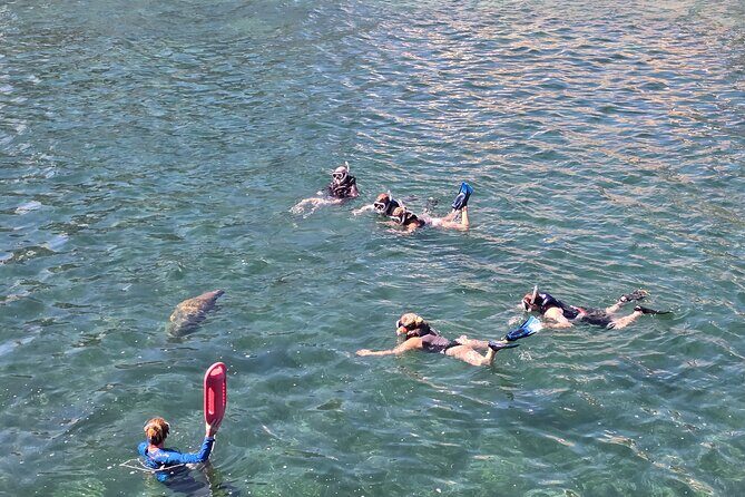 San Juan Snorkel with Turtles and Manatee's; Free Video and Rum! - Frequently Asked Questions