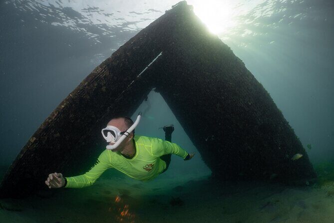 San Juan Snorkeling Tour with Fish and Turtles - The Sum Up