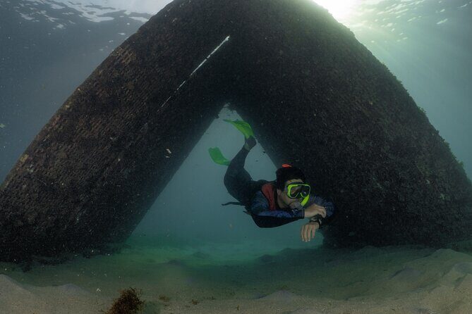 San Juan Snorkeling Tour with Fish and Turtles - Frequently Asked Questions