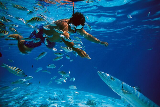 San Juan Snorkeling /Transportation Incl - Transportation Options to Snorkeling Spot
