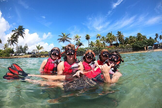 San Juan: Snorkeling with Turtles Adventure and Free Videos - A Deeper Look at the Snorkeling Experience in San Juan